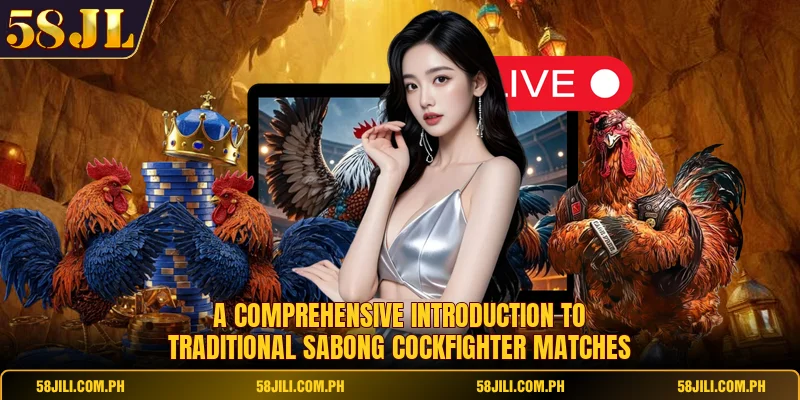 A comprehensive introduction to traditional Sabong Cockfighter matches