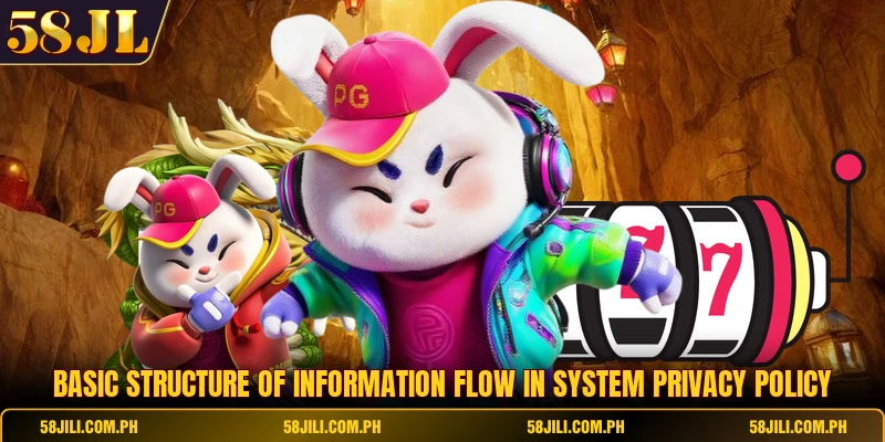 Basic structure of information flow in system privacy policy