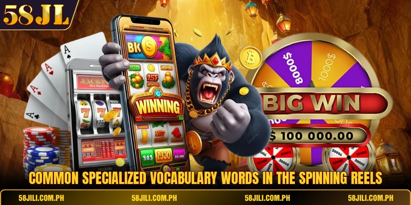 Common specialized vocabulary words in the spinning reels