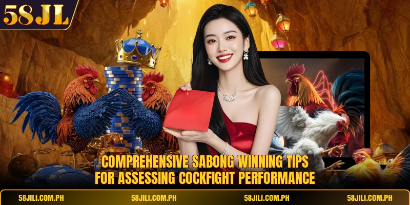 Comprehensive Sabong Winning Tips for assessing cockfight performance